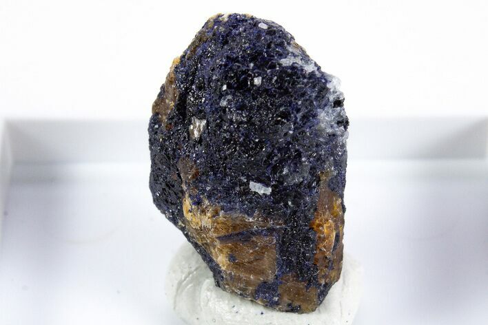 Violet Yoderite on Kyanite Crystal - Mautia Hill, Tanzania #345715